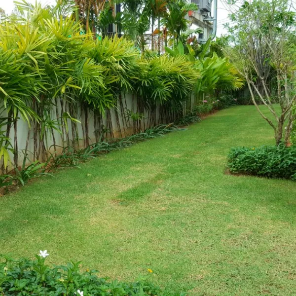 Property image - gallery 14