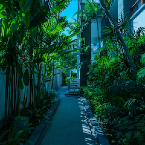 Property image - gallery 48