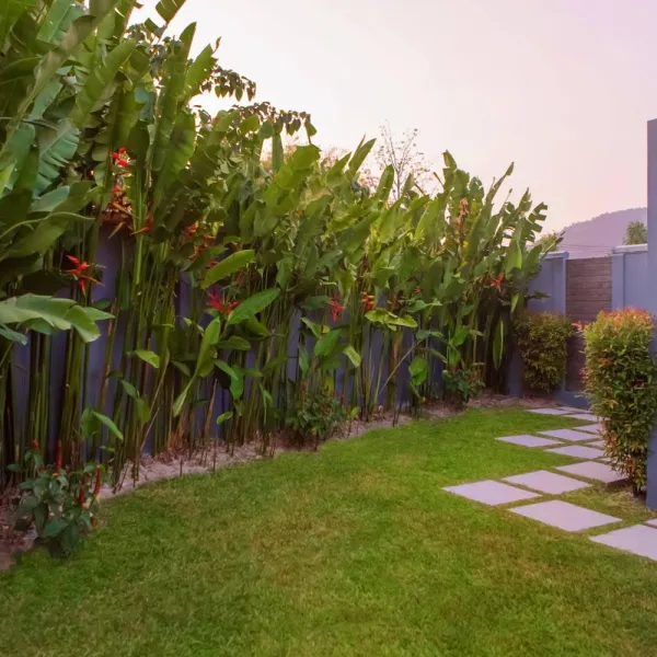 Property image - gallery 23