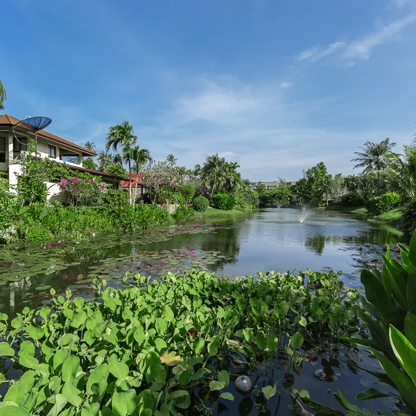 Property image - gallery 32