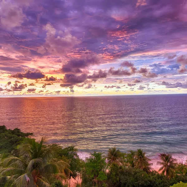 Property image - gallery 32