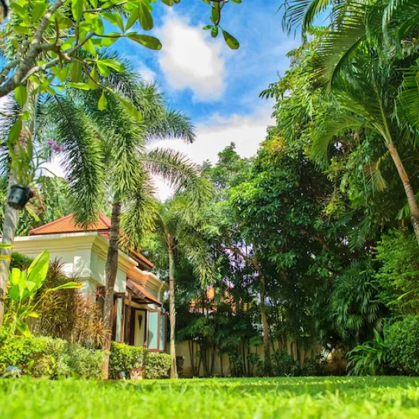 Property image - gallery 29