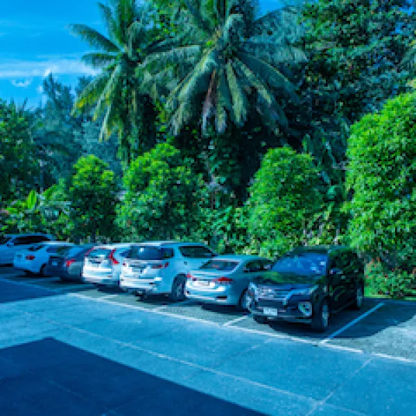 Property image - gallery 61