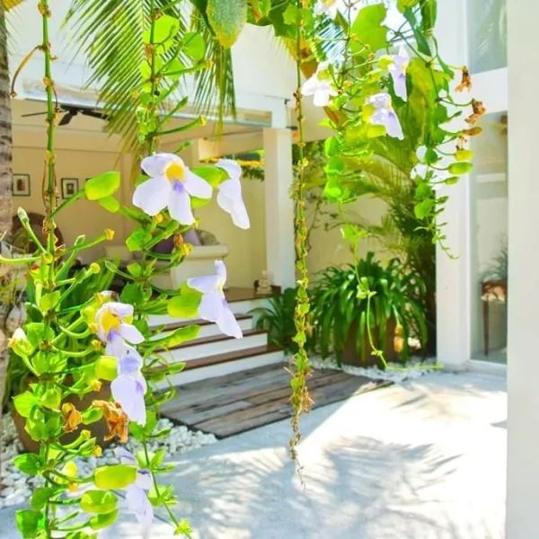 Property image - gallery 17