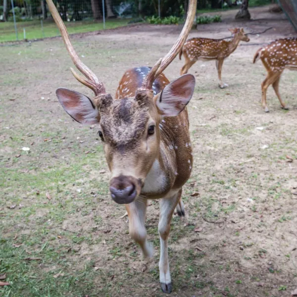 Property image - gallery 18