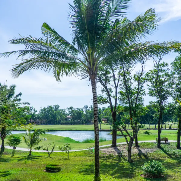 Property image - gallery 32