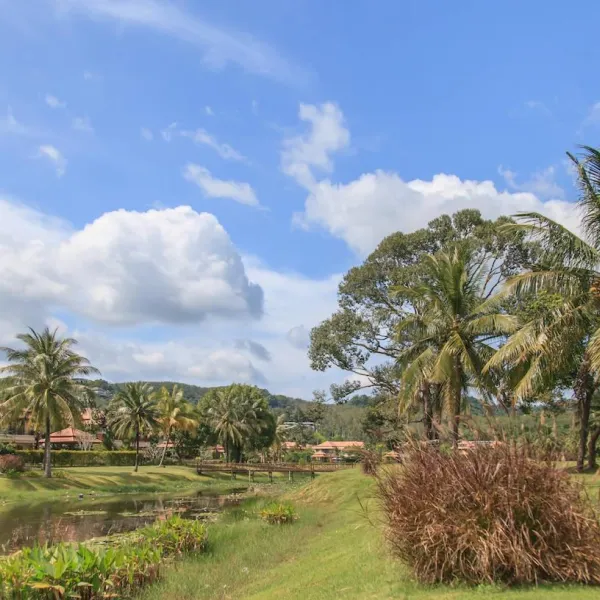 Property image - gallery 74