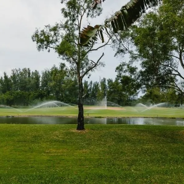 Property image - gallery 15