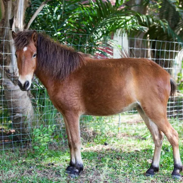 Property image - gallery 14