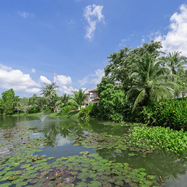 Property image - gallery 39