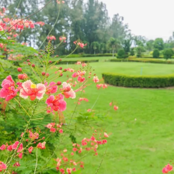 Property image - gallery 44