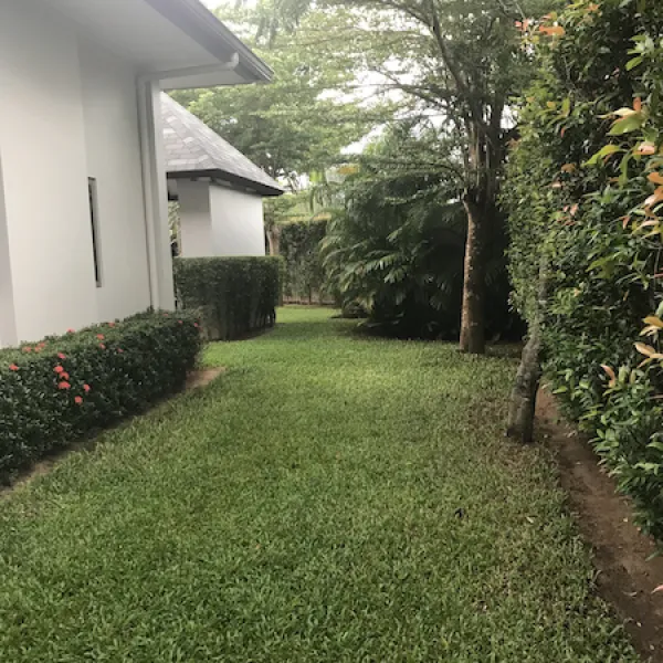 Property image - gallery 47