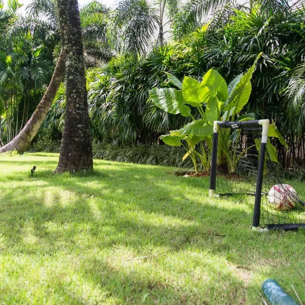 Property image - gallery 40