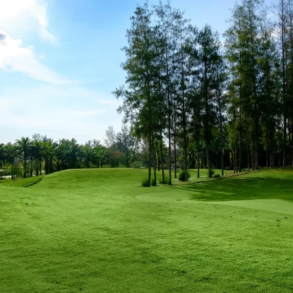 Property image - gallery 41